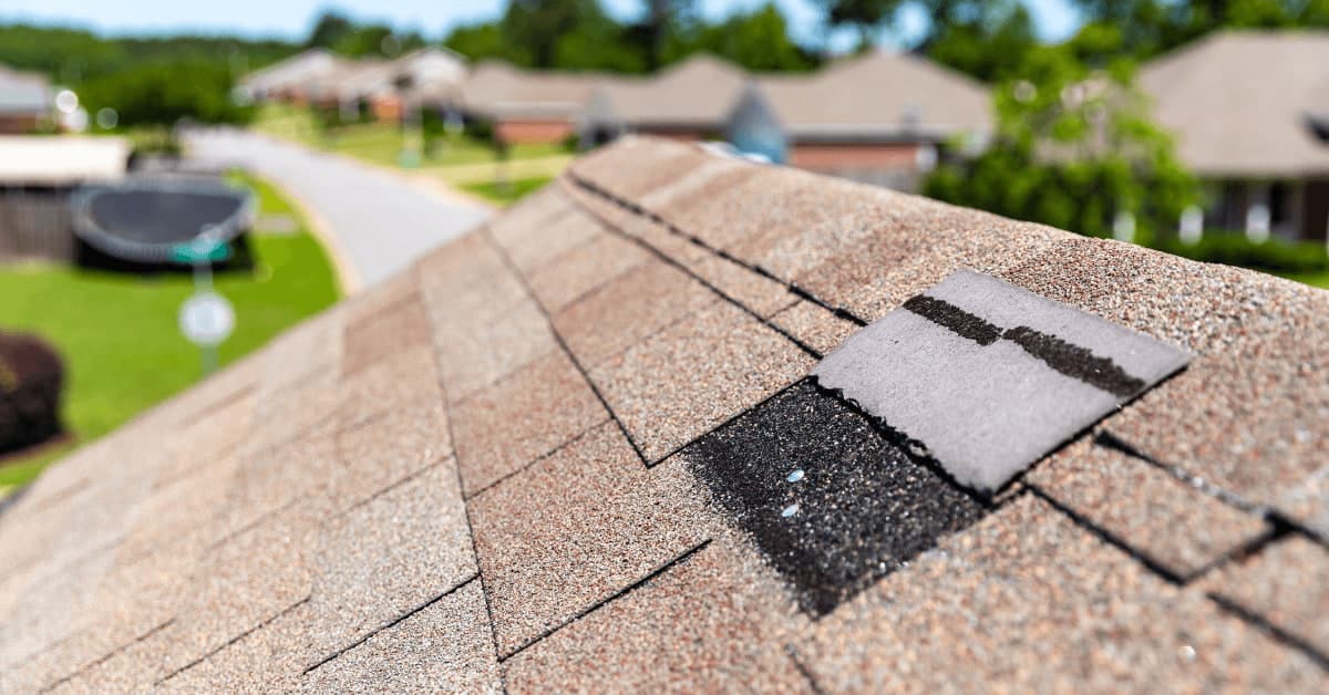 Close-up of hail-damaged roof shingle with exposed underlayment