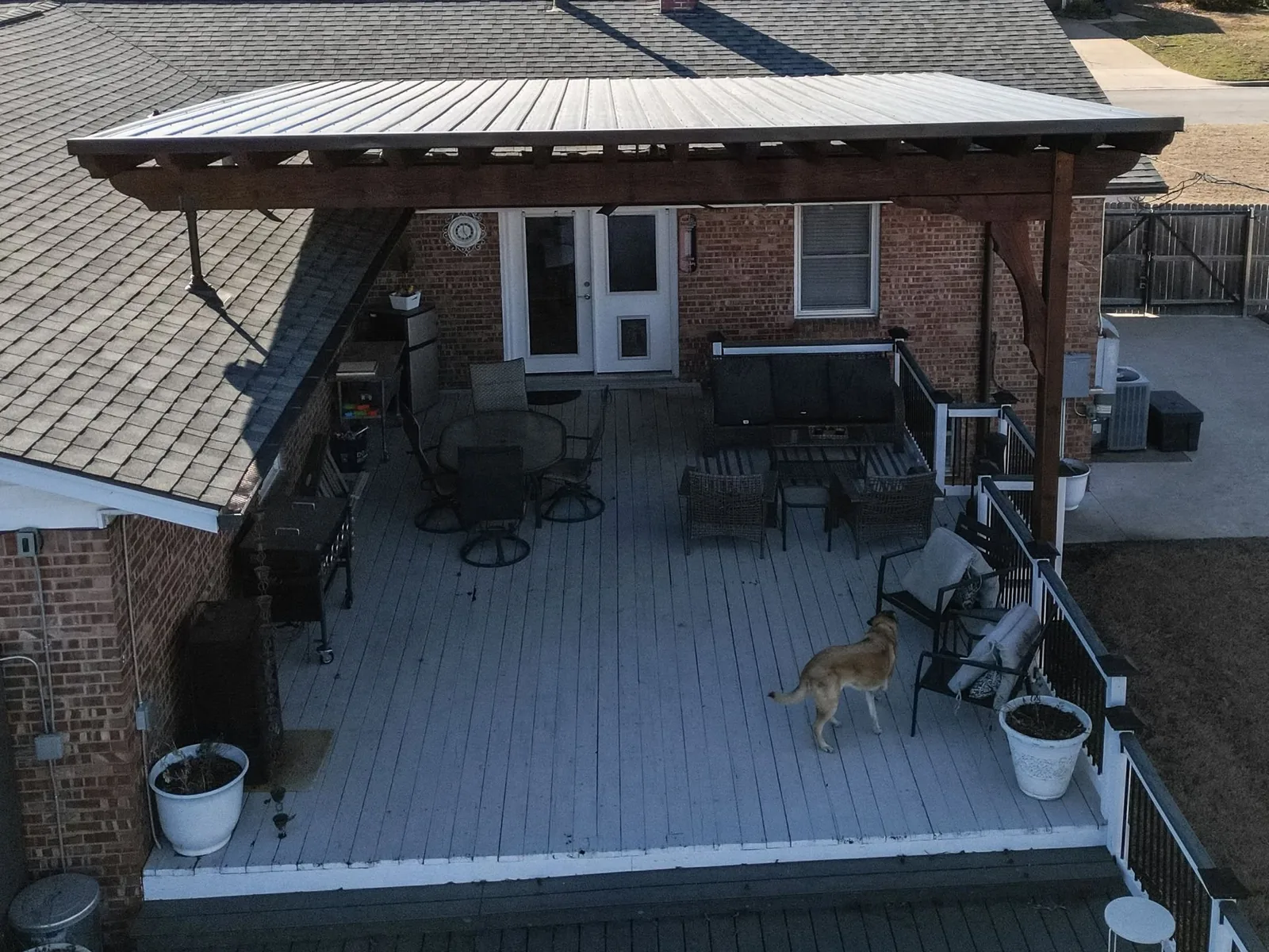 A dog stands on a wooden deck with outdoor furniture and a covered patio.