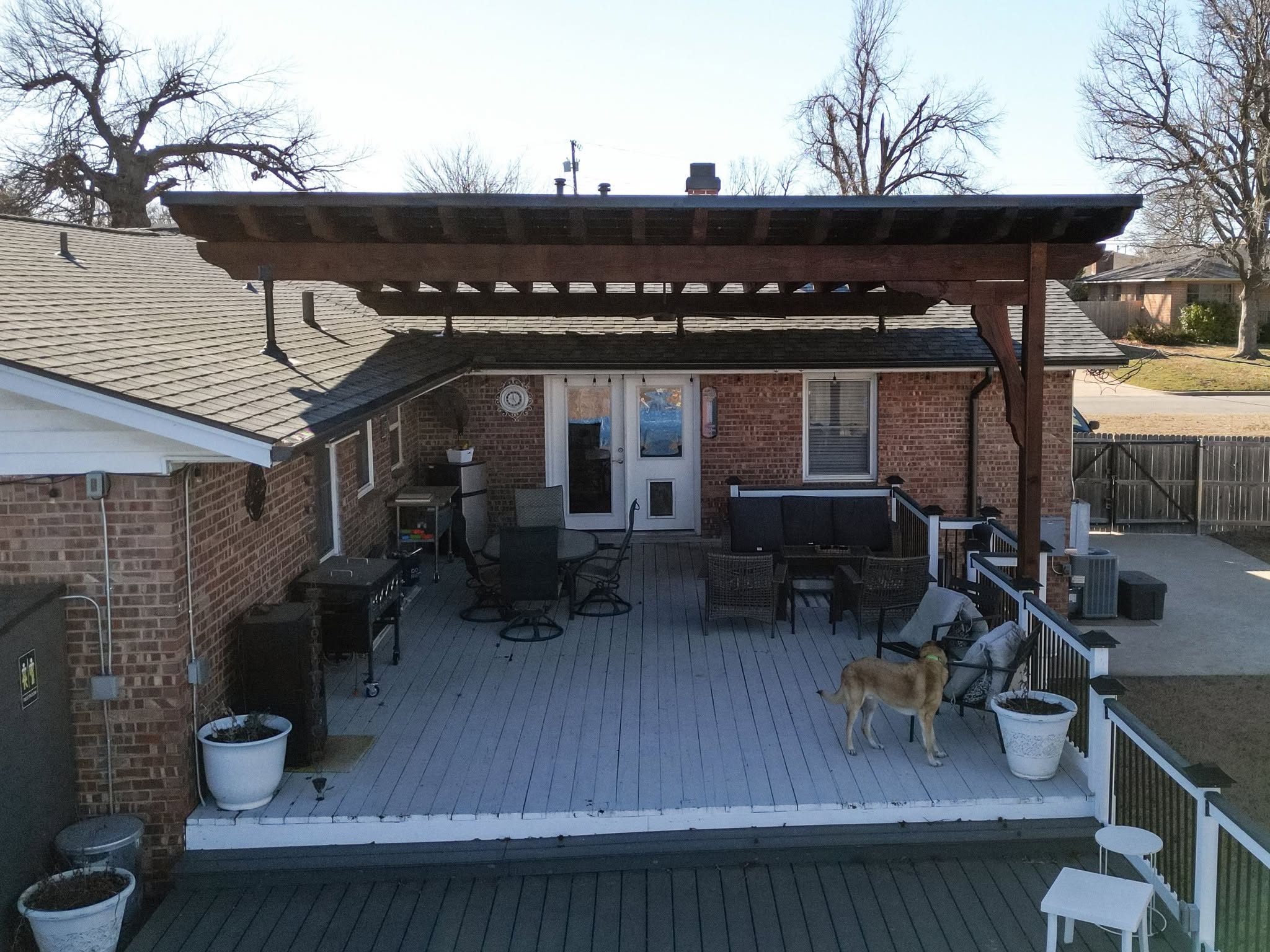A dog stands on a wooden deck with outdoor furniture and a pergola in a backyard.